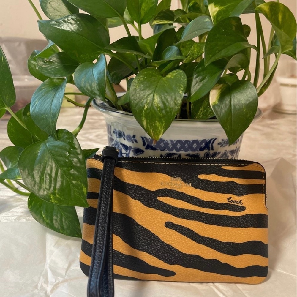 Coach Corner Zip Wristlet With Tiger Print